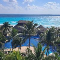 Unique Seminar Destinations: Veterinary Continuing Education ico