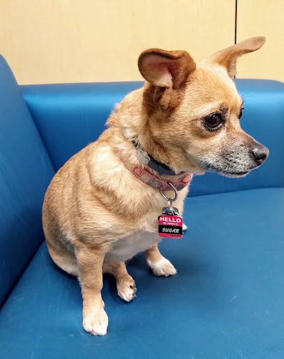 Banfield Pet Hospital 1
