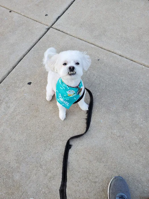 Banfield Pet Hospital 4