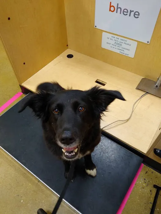 Banfield Pet Hospital 5
