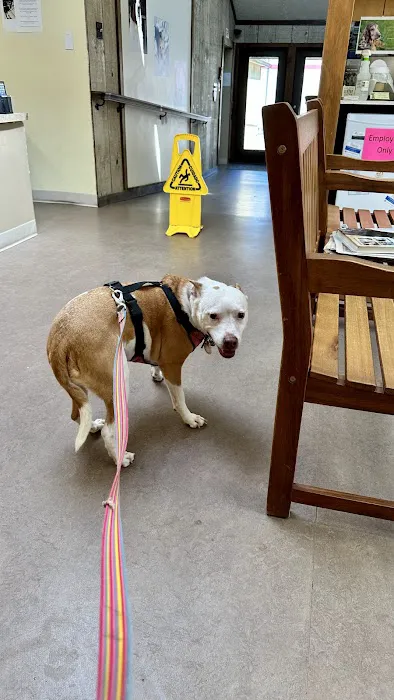 Glen Mills Veterinary Hospital 5