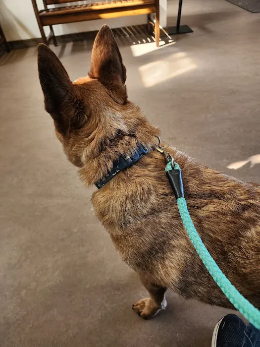 Glen Mills Veterinary Hospital 7