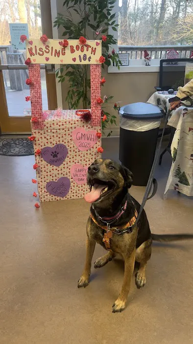 Glen Mills Veterinary Hospital 8