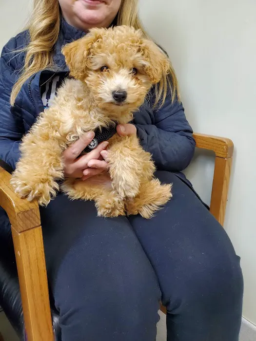 Brandywine Veterinary Hospital 6