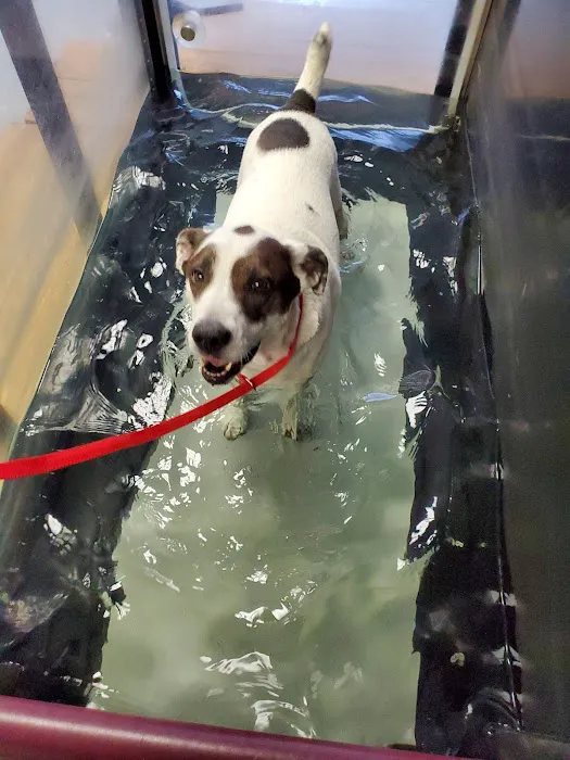 Brandywine Veterinary Hospital 4