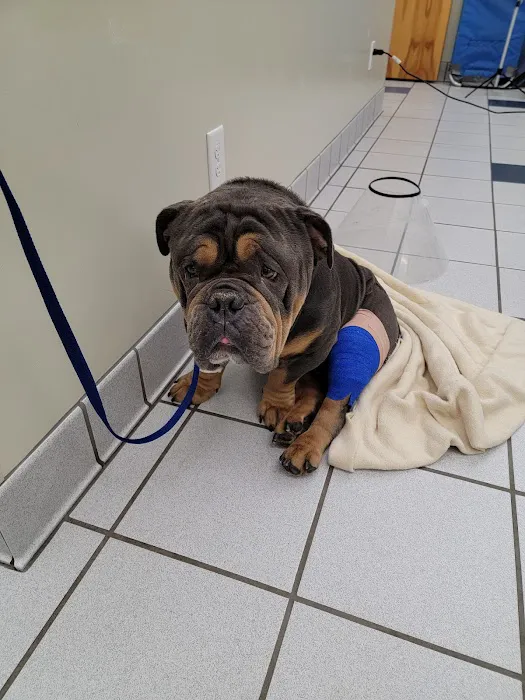 Brandywine Veterinary Hospital 8