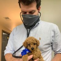 Old Ridge Veterinary Hospital ico