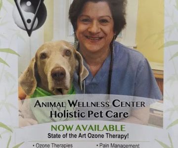 Animal Wellness Center