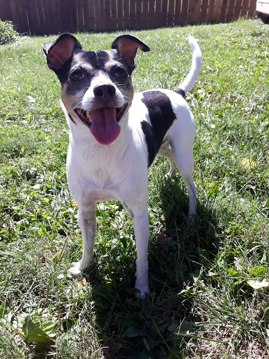 Concord Pike Veterinary Hospital: Xanthopoulos Cindy VMD 1