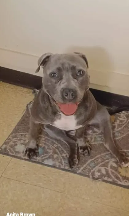 Banfield Pet Hospital 12