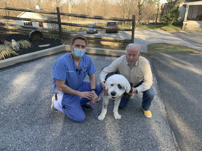 Veterinary Dentistry Specialists 1