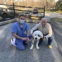 Veterinary Dentistry Specialists ico