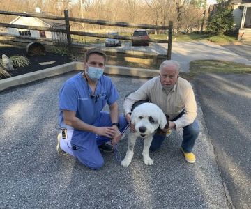 Veterinary Dentistry Specialists