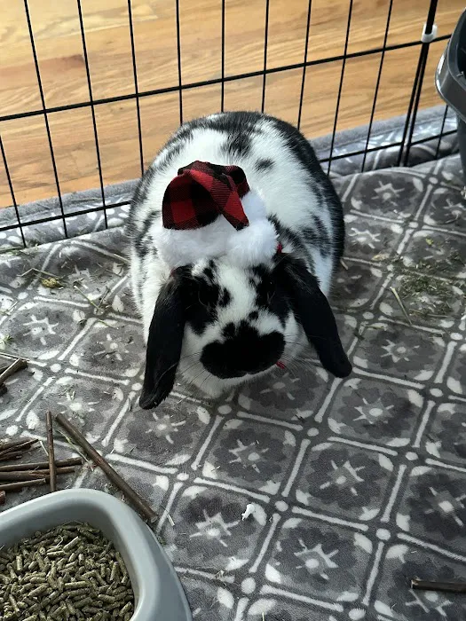 Exotic and Small Animal Hospital of Pennsylvania 3