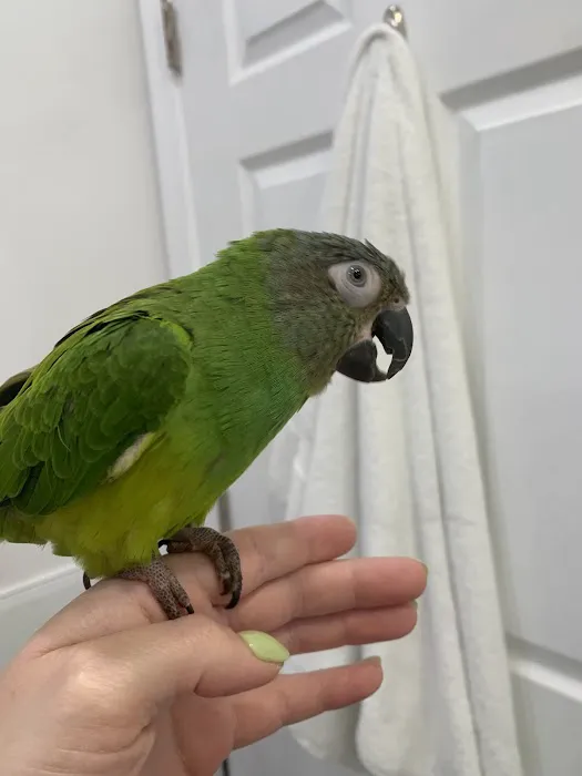 Exotic and Small Animal Hospital of Pennsylvania 2