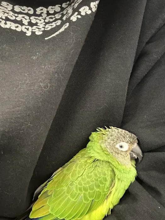 Exotic and Small Animal Hospital of Pennsylvania 7