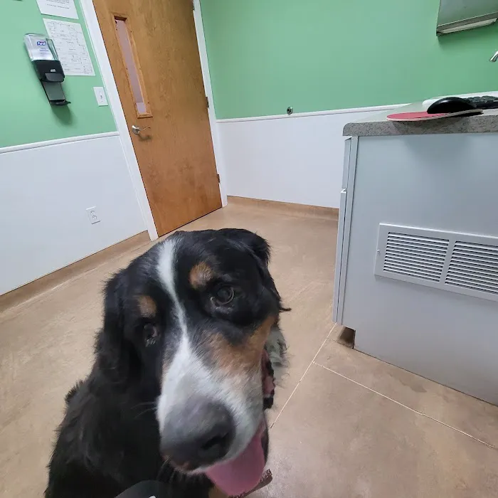 Brookhaven Veterinary Hospital 3