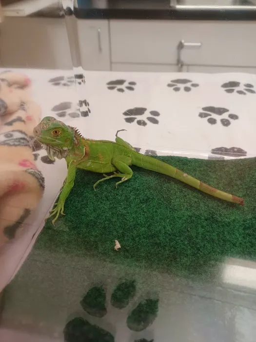 Avian & Exotic Animal Medical 9