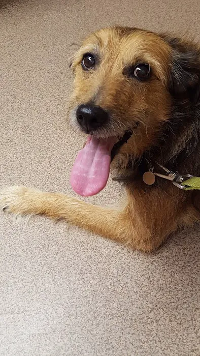 Rocky Hill Veterinary Clinic 2