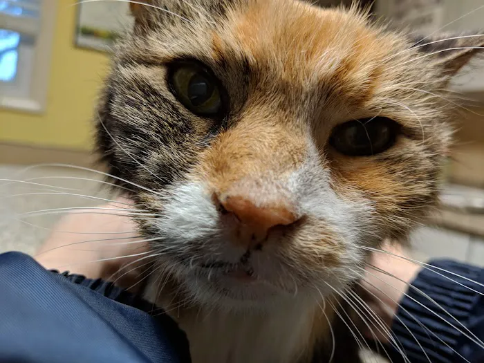 West Chester Veterinary Medical Center 1