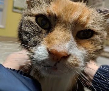 West Chester Veterinary Medical Center
