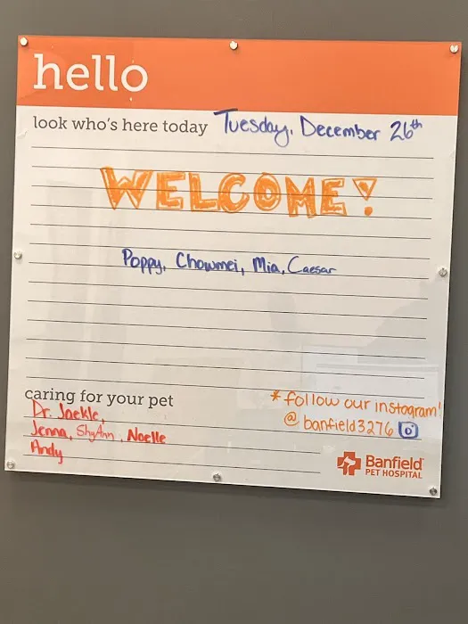 Banfield Pet Hospital 4