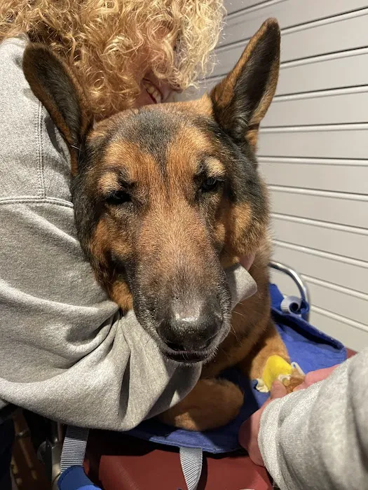 BluePearl Veterinary Cyberknife Cancer Center 12