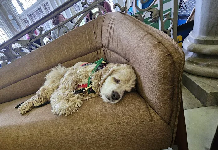 BluePearl Veterinary Cyberknife Cancer Center 12