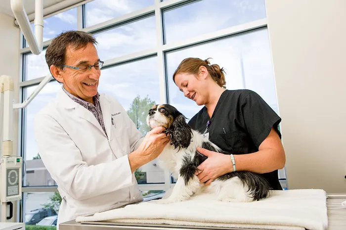 BluePearl Pet Hospital 12