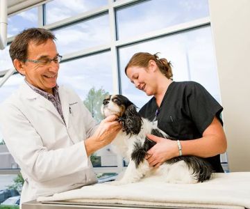 BluePearl Pet Hospital