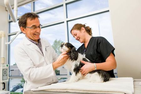 BluePearl Pet Hospital