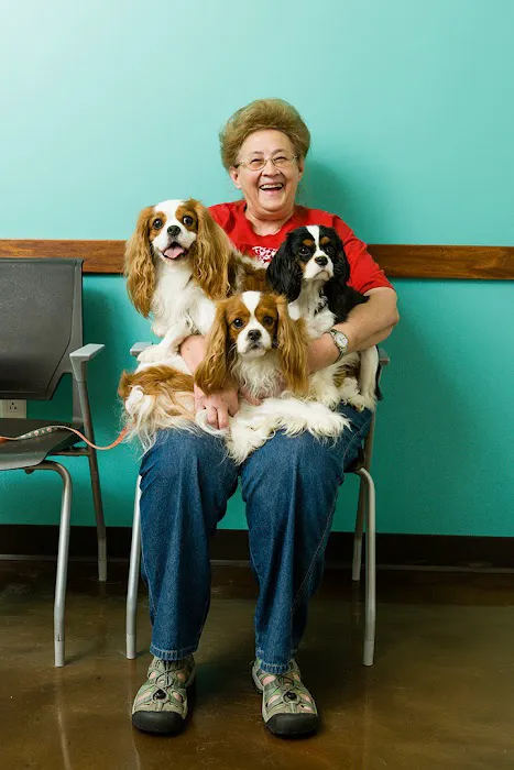 BluePearl Pet Hospital 12