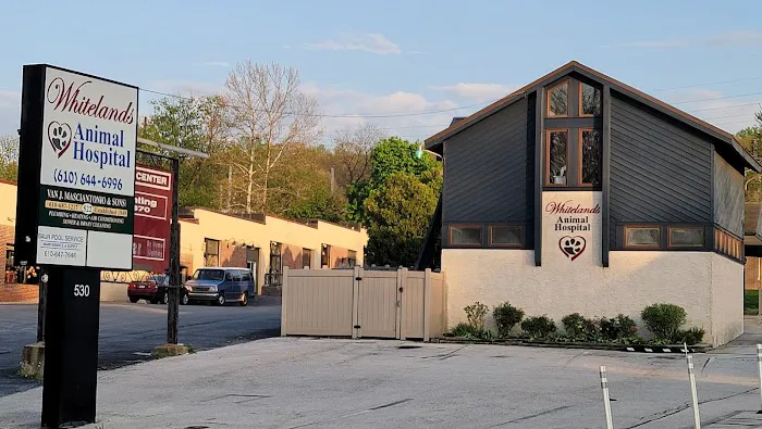 Whitelands Animal Hospital 12