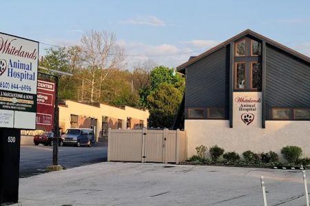 Whitelands Animal Hospital