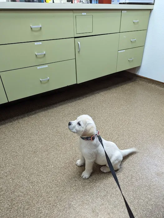 Malvern Veterinary Hospital 5