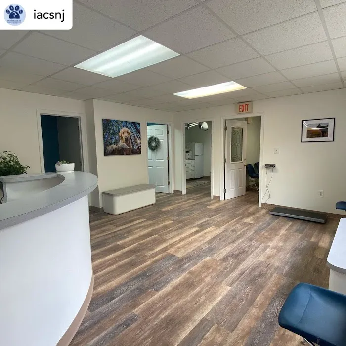 Community Animal Wellness Center by IACS 3