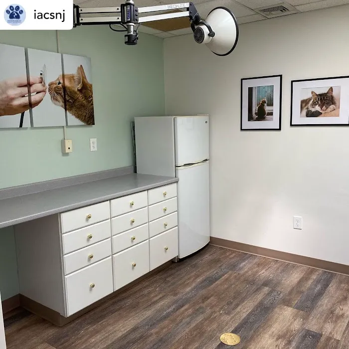 Community Animal Wellness Center by IACS 2