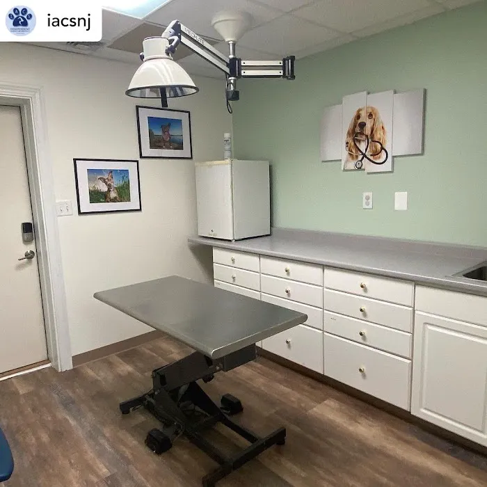 Community Animal Wellness Center by IACS 4