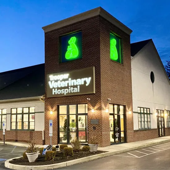 Trooper Veterinary Hospital 1