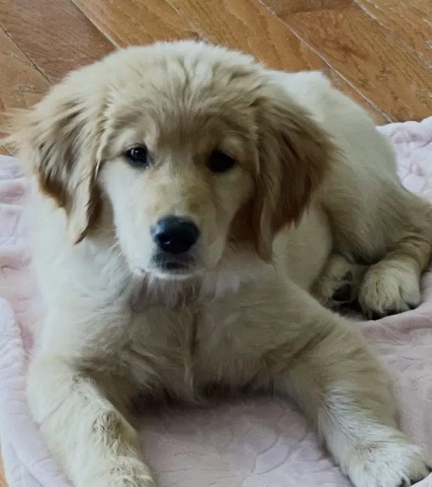 Trooper Veterinary Hospital 6