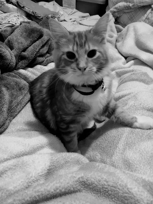 Trooper Veterinary Hospital 5