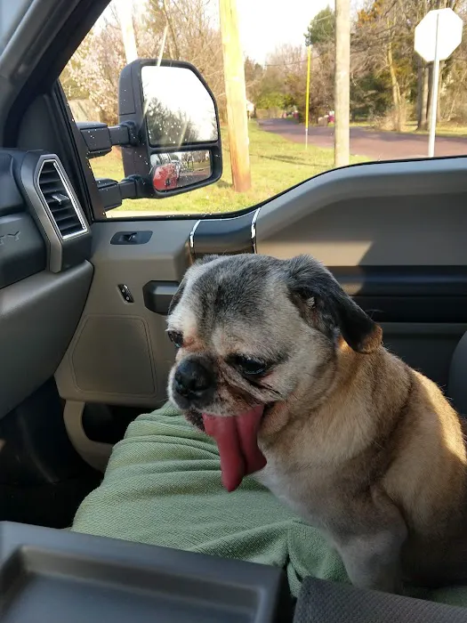 Trooper Veterinary Hospital 10