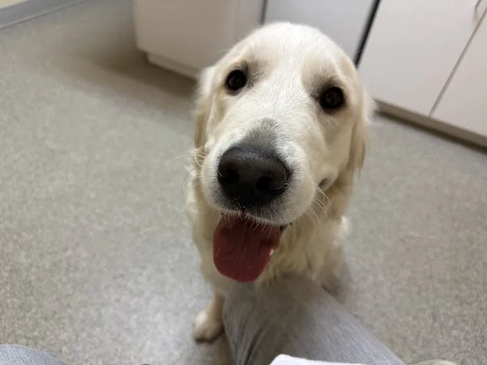 Valley Forge Animal Medical Center 6