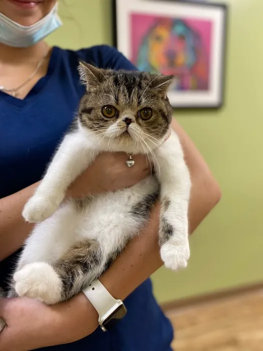 Valley Veterinary Hospital 7