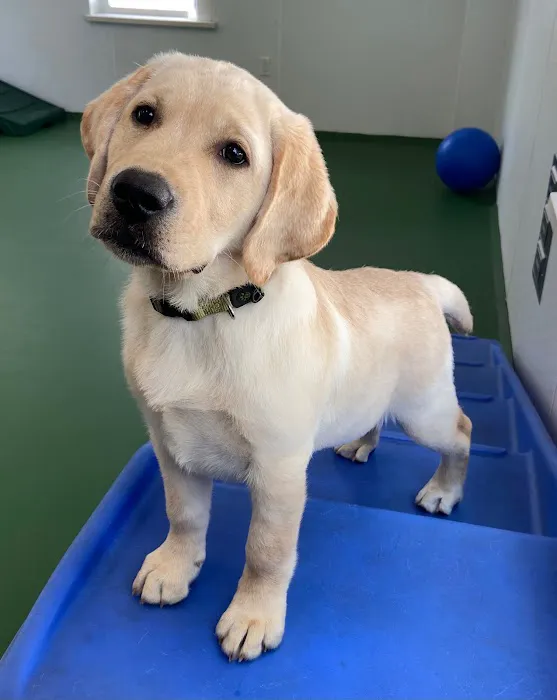 Valley Veterinary Hospital 5