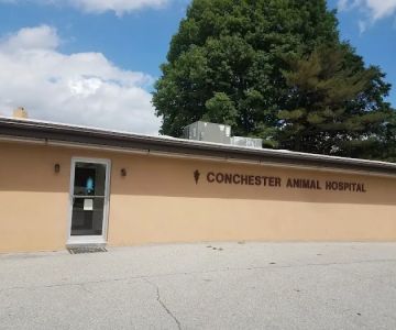 Conchester Animal Hospital