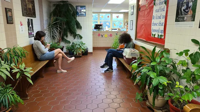 Conchester Animal Hospital 2