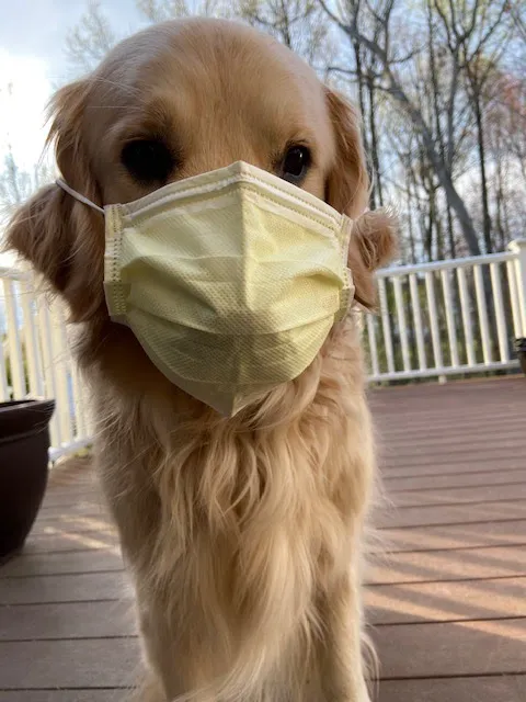 Conchester Animal Hospital 5