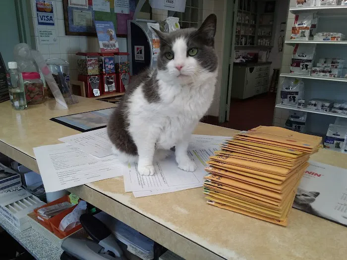 Conchester Animal Hospital 8