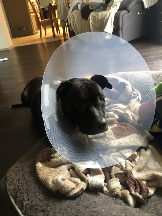 Thrive Pet Healthcare - Sicklerville 1